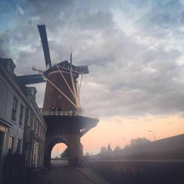 Ochtendgloren Ochtendgloren